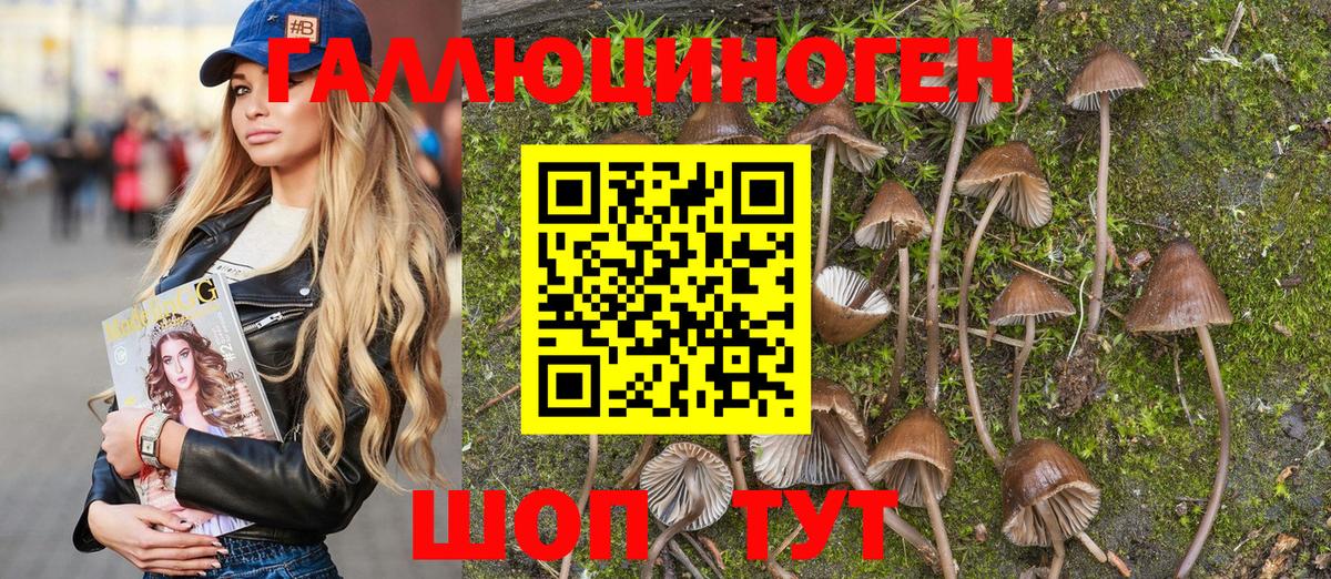 Псилоцибиновые грибы мухоморы Ессентуки
